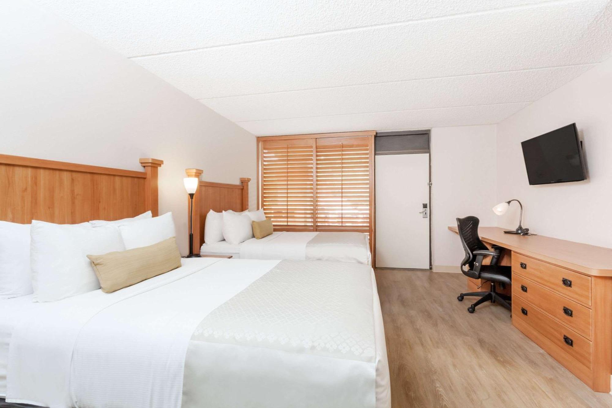 2 Double Beds Casita Suite